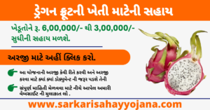 Read more about the article Gujarat Dragon Fruit Subsidy | કમલમ ફ્રૂટની ખેતી માટેની સહાય.