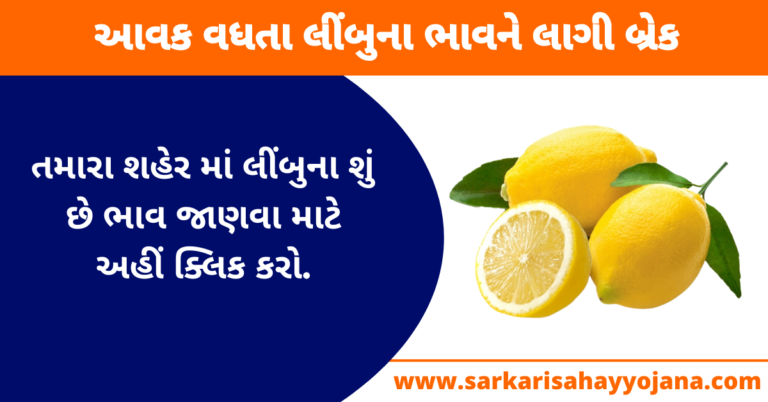 Read more about the article Lemon Price In Gujarat | આવક વધતા લીંબુના ભાવને લાગી બ્રેક