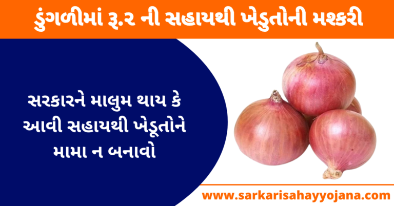 Read more about the article Onion Price in Gujarat | ડુંગળીમાં રૂ.૨ ની સહાયથી ખેડુતોની મશ્કરી